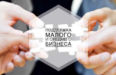 В Пензенской области действует ряд федеральных мер поддержки малого и среднего предпринимательства