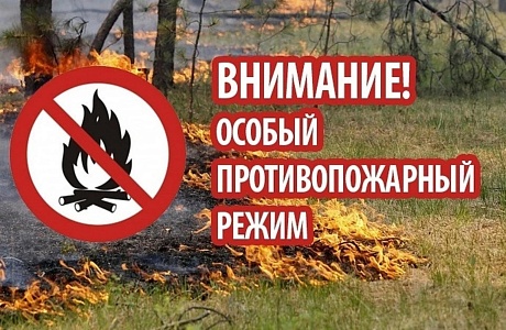 Особый противопожарный режим Особый противопожарный режим