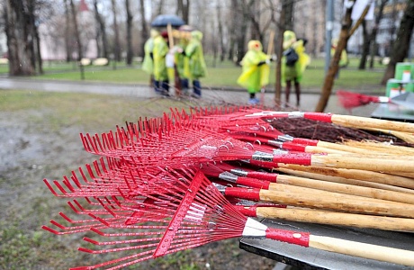 На территории Колышлейского района 10 марта стартовал месячник по благоустройству населённых пунктов На территории Колышлейского района 10 марта стартовал месячник по благоустройству населённых пунктов