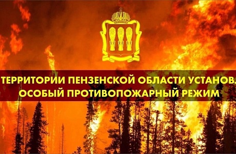 На территории Пензенской области с 1 июня 2024 года и до особого распоряжения введен  особый противопожарный режим