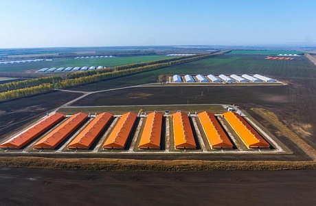 «Дамате» наращивает мощность производства мяса индейки на 30%