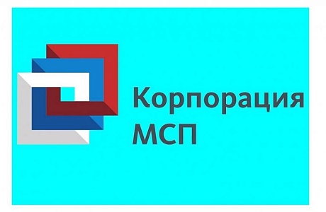 О «зонтичном» механизме поручительств Корпорации «МСП»