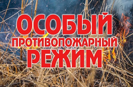 В Пензенской области введен особый противопожарный режим 
