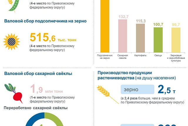 Производство продукции растениеводства на 1 ноября 2023 года