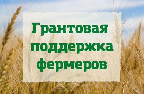 Проведения отбора посредством конкурса получателей грантов «Агростартап» на 2024 год запланировано на декабрь текущего года
