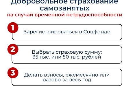 Соцфонд расширяет поддержку самозанятых россиян