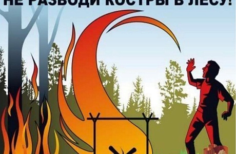 Несколько полезных советов от специалистов МЧС, или как сберечь Родину от лесных пожаров