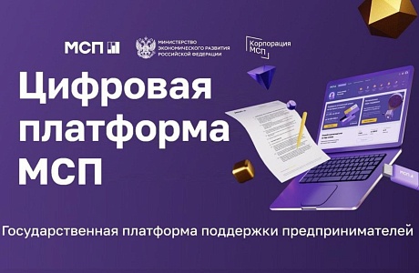 Пензенские бизнесмены получили 56 микрозаймов через сервис МСП.РФ Пензенские бизнесмены получили 56 микрозаймов через сервис МСП.РФ