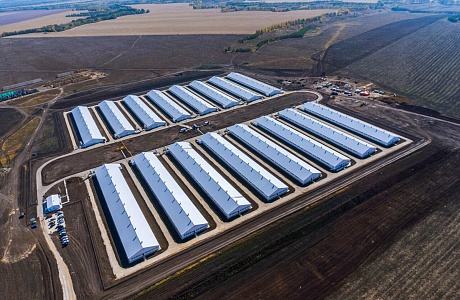 «Дамате» начала строительство птицеводческого блока стоимостью 4,3 млрд рублей в Пензенской области