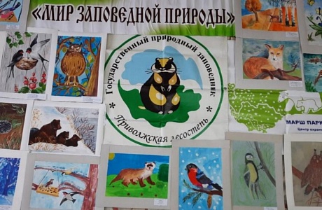 В Доме детского творчества 15 апреля подведены итоги муниципального этапа конкурса «Мир заповедной природы»
