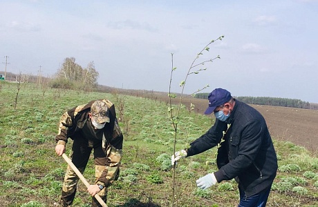 На территории Колышлейского района 29 апреля стартовала международная акция «Сад памяти» в честь 75-летия Победы в Великой Отечественной войне