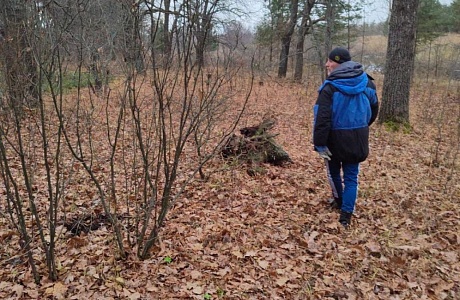 В р.п. Колышлей возрождается лыжная трасса около санатория «Хопровские зори» В р.п. Колышлей возрождается лыжная трасса около санатория «Хопровские зори»