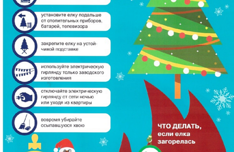 Правила пожарной безопасности при установке Новогодней Ёлки!