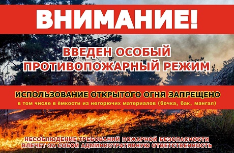 На территории Пензенской области с 28 мая введен особый противопожарный режим, действие которого продлится до особого распоряжения