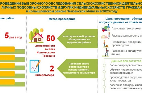 В условиях многоукладной экономики важную социально-экономическую значимость играют хозяйства населения