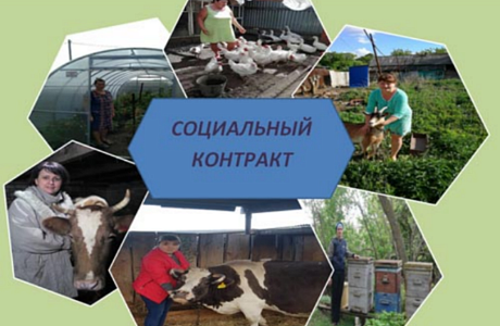 На территории Колышлейского района в 2021 году заключено 16 социальных контрактов на развитие личного подсобного хозяйства