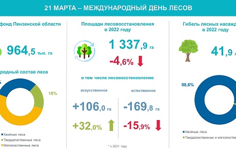 Международный день лесов Международный день лесов